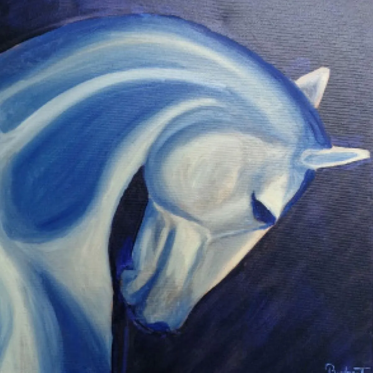 Ghost shadow